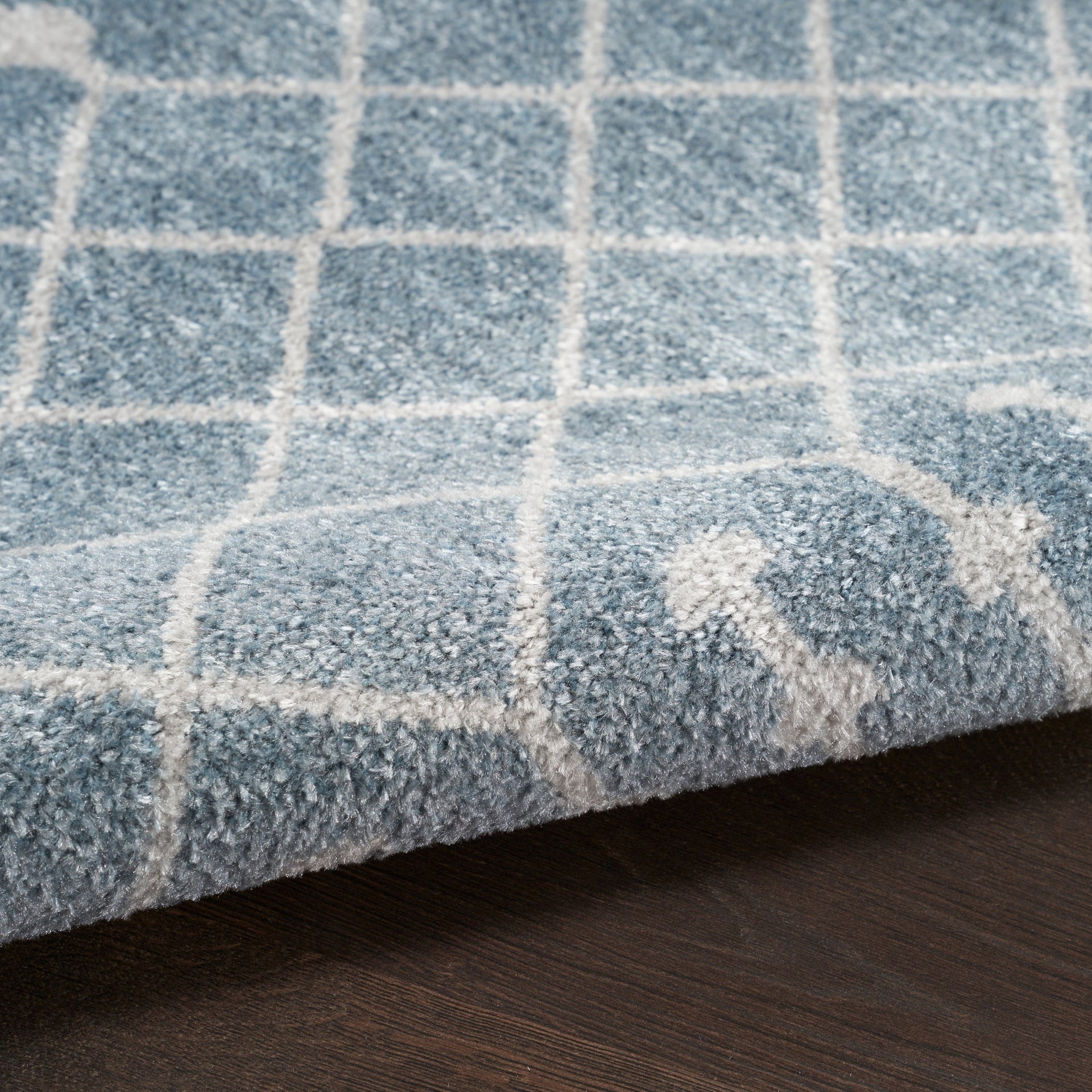 Nourison Astra Machine Washable Moroccan Area Rug