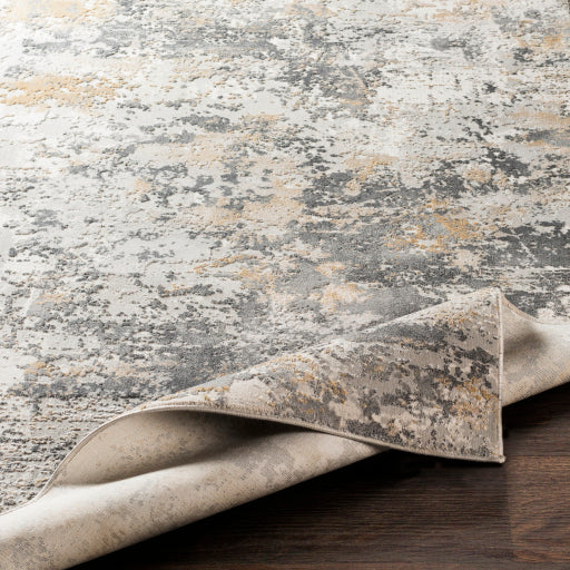 Aisha Area Rug 2303
